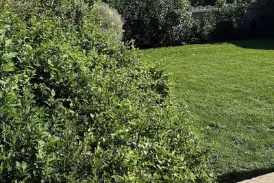 Image de Fully Renovated Cozy Home