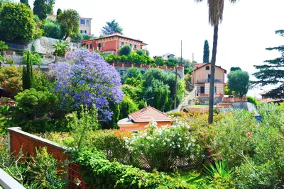 Image de Surrounded by greenery a stone's throw from downtown and beaches