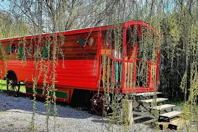 Image de Homerez - Bungalow Sédeilhac jardin