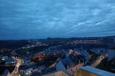 Image de Grand appartement au calme, lumineux, sans vis Ă vis, proche du centre-ville.