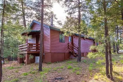 Elk Cabin - Forest Lakes