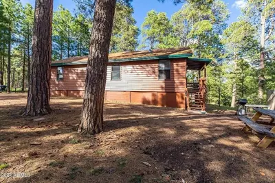 Bear Cabin - Forest Lakes