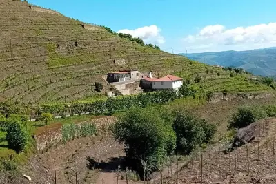 Image de Homerez - Charmante Villa avec Piscine Ă Lamego