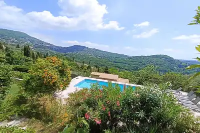 Image de L'olivier de Grasse - Grasse