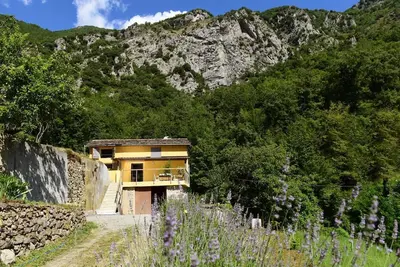 Image de Les Lavandes de la Pinea