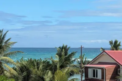 Image de Le Mabuya de Crystal Beach