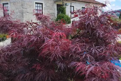 Image de 3house: Sol na Eira A country house with a lot of history to tell. . .