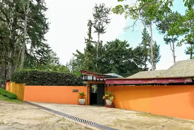 Image de Jungle Mansion - 9 Bedrooms with pool, bar, game room & more