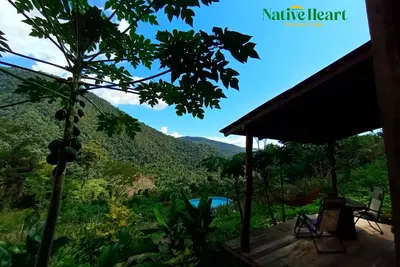 Image de 🌿 Personalized Amazon escape: 🧘♀️yoga, 🌄hikes, 🍫chocolate & 💚healing