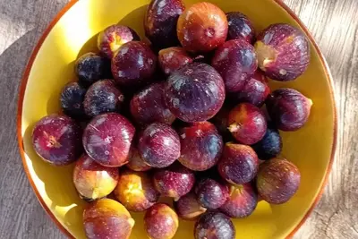 Image de Orchard House with outdoor kitchen & stunning views (Pet Friendly)