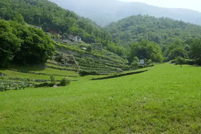 Image de Belle maison de vacances privée pour 4 personnes avec Wifi, Tv, patio, animaux admis et parking