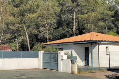 Image de Entre plage, forêt et surf!