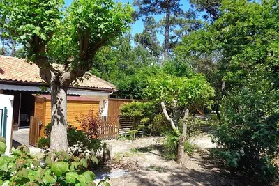 Image de Quarterone - 4231