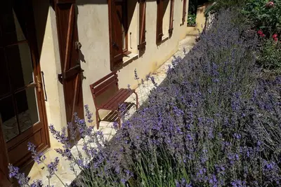 Image de L'orée du bois gîte proche de Sarlat au coeur de la vallée de la Dordogne