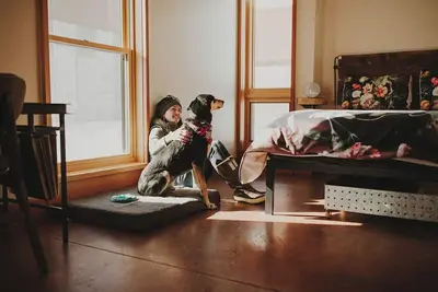 Image de Queen + Sofa Bed Cabin In Leadville