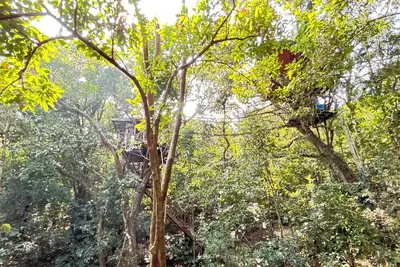 Image de Treedom Treehouse Eco-Restoration getaway in the Jungles of South India