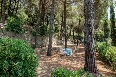 Image de Magnifique maison de vacances avec Wifi, climatisation, terrasse, animaux admis et parking
