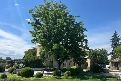 Image de Mas des Vignes, villa de luxe au milieu des vignes, 15 couchages