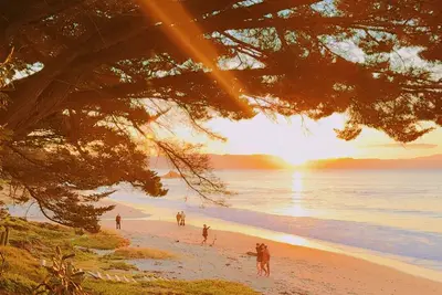 Image de Prime Location in Kuaotunu - Beach Across the Road!