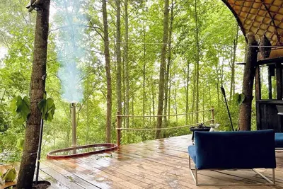 Image de Immerse yourself in the forest! (Citlalapa)