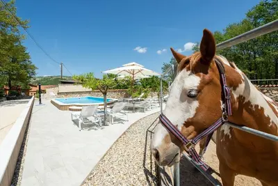 Image de Maison pour la famille avec la piscine Maovice, Zagora (K-24726)