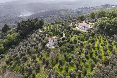 Image de Mathematic Green - A look at nature