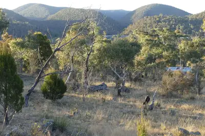 Image de Forest Cottage – Relaxing bush stay. Pet friendly