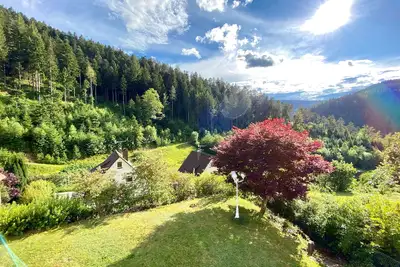 Image de Apartment with balcony & great view in the Black Forest