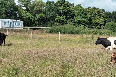 Image de Mobile Home 'Entre Terre Et Mer' avec terrasse privée et jardin privé