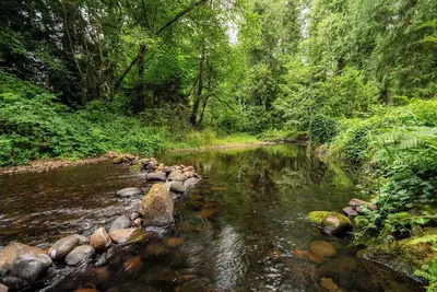 Cedar Creek Cabin • Mt Hood Access • Peaceful