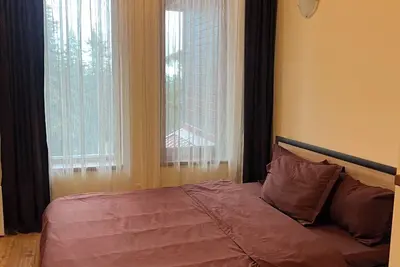 Image de Charming Ski-In Studio with Fireplace