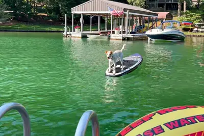 Image de Relaxing lakefront escape with hot tub, dog-friendly fenced yard, dock & kayaks