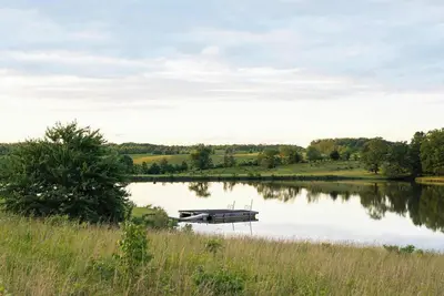 Image de Bobwhite at Buckhorn Hollow
