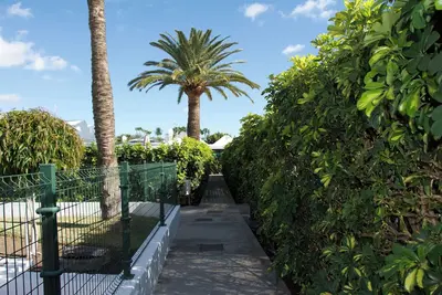 Image de Relax Beach Flower