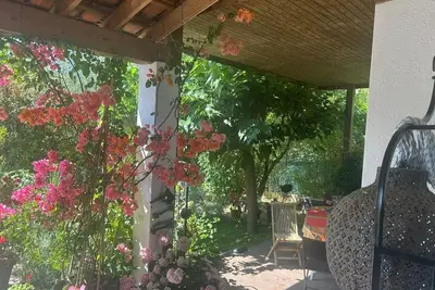 Image de Petit paradis de senteurs et de verdure sur les hauteurs de Nîmes.