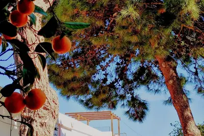 Image de Country house flair with island views in Mongiove (Patti)