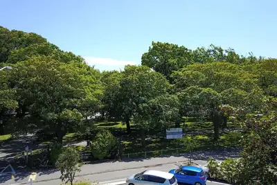 Image de Hagley Park Views and 5 Min Walk to Hospital