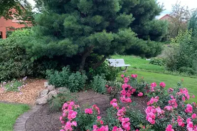 Image de Holiday home Gartenidylle