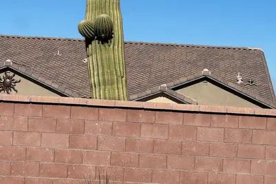 Image de Charming 3-bedroom house with WiFi and Ac in tranquil Sahuarita