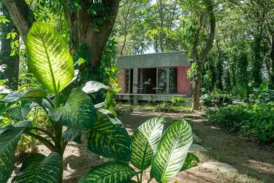 Image de Stylish Jungle Cabin – Riverfront Retreat with Hammocks & Wi-Fi