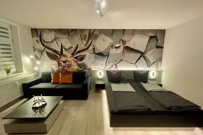 Image de HarzFokus - Freshnest - stylish vacation apartment in the center