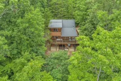 Image de Blue Ridge Hideaway | Hot Tub + Forest Views