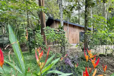 Image de Villa Iguana - nice house for Resting Under the Trees