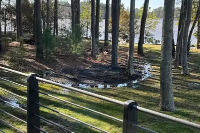 Image de Spacious 6-bedroom house/cottage in charming Royal Oak with WiFi, Ac