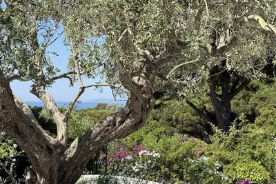Image de Mas neuf de luxe à 200m de la plage de Gigaro, 3 chambres climatisées, proche St-Tropez