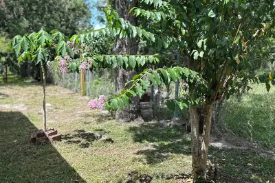 Image de Charming 3-bedroom house with WiFi, Ac in awesome Lakeland