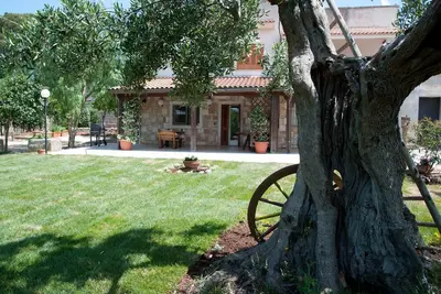 Image de Villa don cosimo parmi les oliviers centenaires