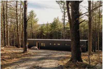 Image de 100ft of Forest Light - Modern Catskills Escape