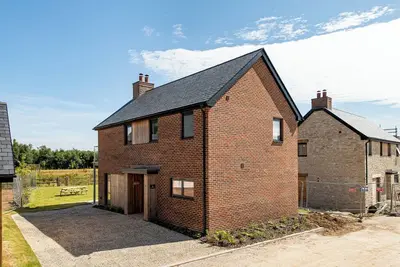 Image de Meadow Hare (Sv06), Silverlake, Dorset