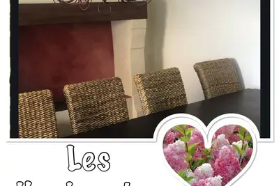 Image de Les Hortensias